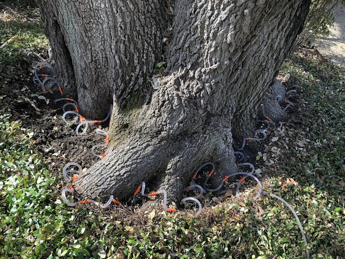 Detailed Shrub and Hedge Trimming job site in Johnson